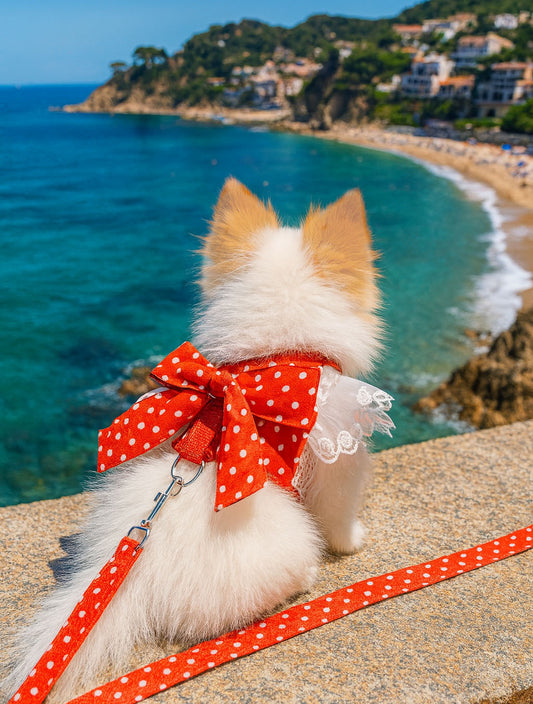 Luxury Red Lace Dog Harness with Bow & Leash – Elegant Pet Outfit