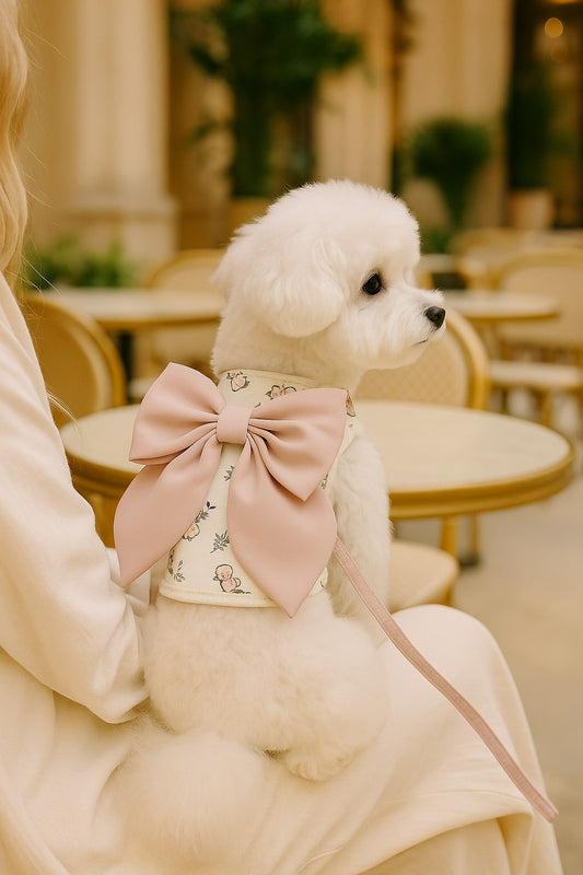 Cute Double Strap Harness Dress – Stylish Vest for Small Dogs & Puppies