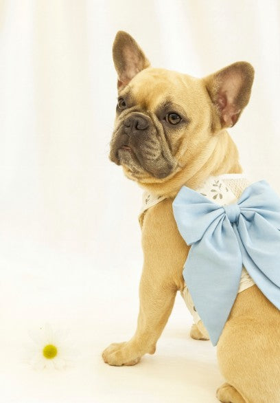 Cute Double Strap Harness Dress β Stylish Vest for Small Dogs & Puppies