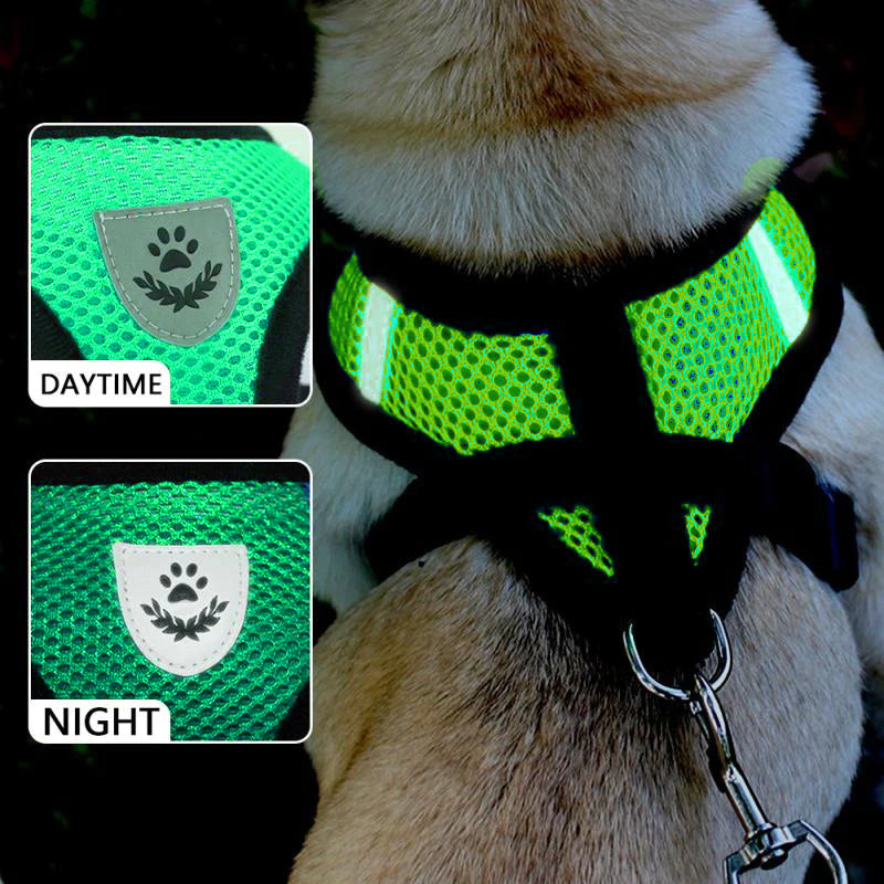 Dog Harness Vest Walking Lead Leash for Puppy Dogs Collar Polyester Adjustable Mesh Dog Harness for Small Medium Pet Accessories