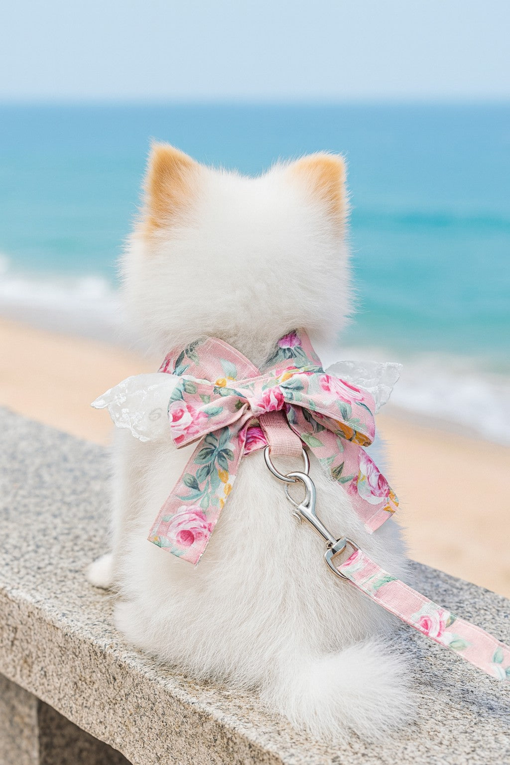 Luxury Red Lace Dog Harness with Bow & Leash – Elegant Pet Outfit