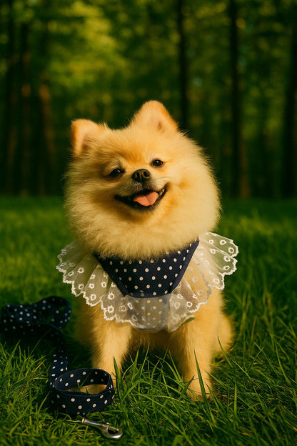 Luxury Red Lace Dog Harness with Bow & Leash – Elegant Pet Outfit