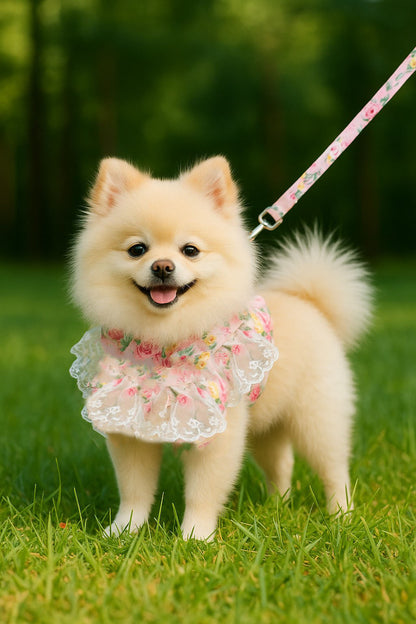 Luxury Red Lace Dog Harness with Bow & Leash – Elegant Pet Outfit