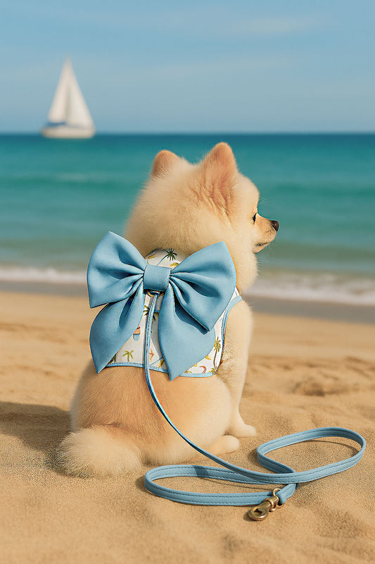 Cute Double Strap Harness Dress – Stylish Vest for Small Dogs & Puppies