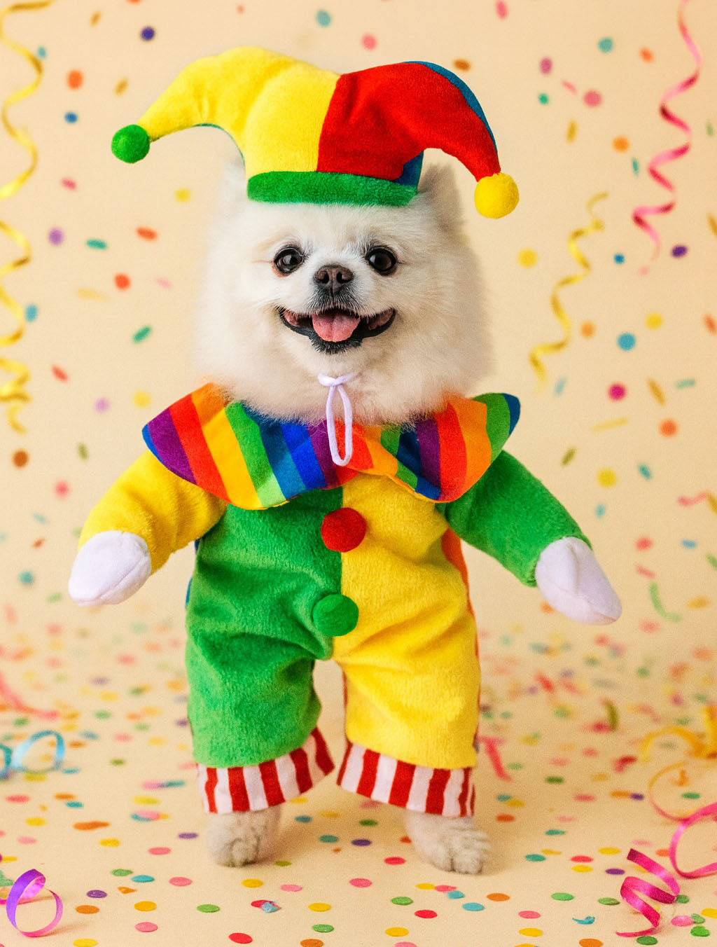 Halloween Costumes for Small Dogs and Cats - Creative and Humorous Pet Apparel