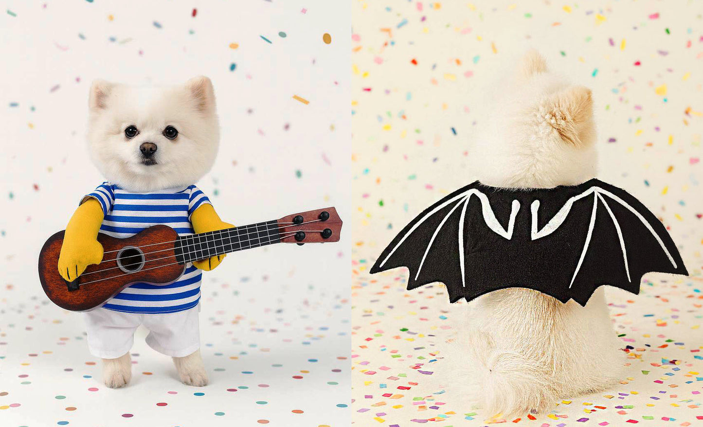 Halloween Costumes for Small Dogs and Cats - Creative and Humorous Pet Apparel