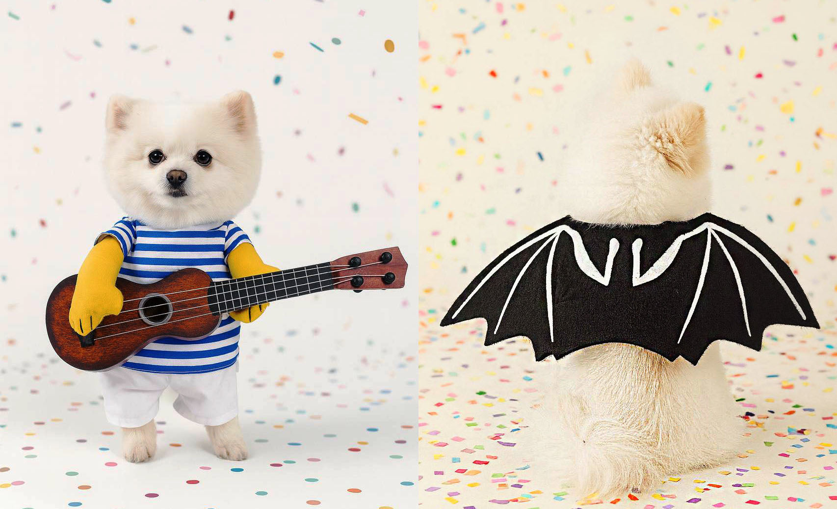 Halloween Costumes for Small Dogs and Cats - Creative and Humorous Pet Apparel