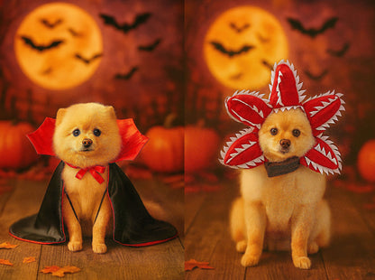 Halloween Costumes for Small Dogs and Cats - Creative and Humorous Pet Apparel