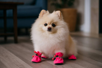 Dog Boots Paw Protector, Anti-Slip Winter Dog Shoes with Reflective Straps for Small Medium Dogs Size 5 4PCS