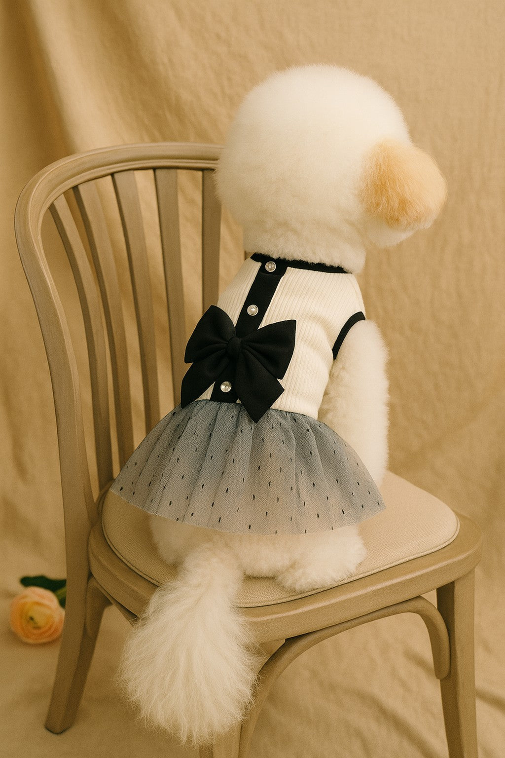 Elegant Summer Dog Dress with Bow – Black & White Lace Skirt for Pomeranians and Small Dogs