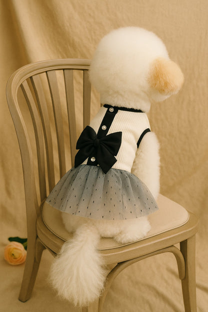 Elegant Summer Dog Dress with Bow – Black & White Lace Skirt for Pomeranians and Small Dogs
