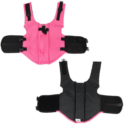 Luxury Dog Life Jacket – Shark Design Swim Vest for Small & Medium Breeds